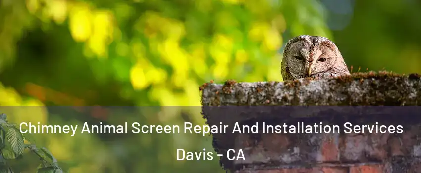  Chimney Animal Screen Repair And Installation Services Davis - CA