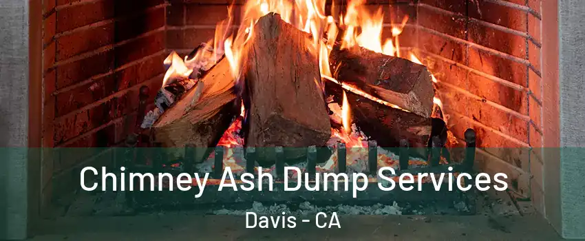  Chimney Ash Dump Services Davis - CA