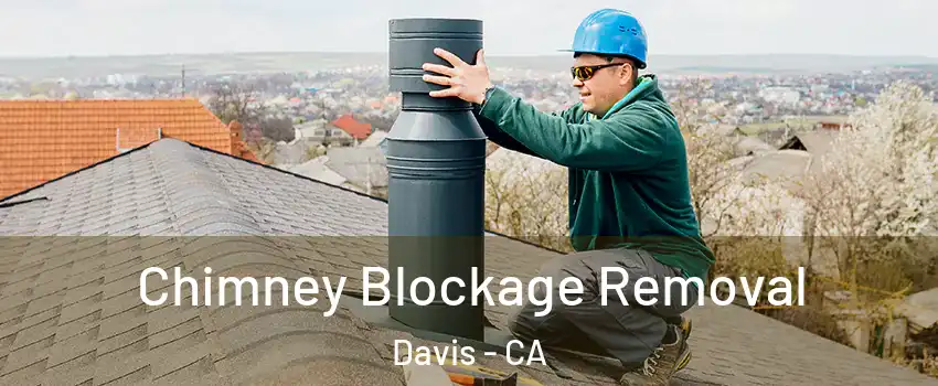  Chimney Blockage Removal Davis - CA