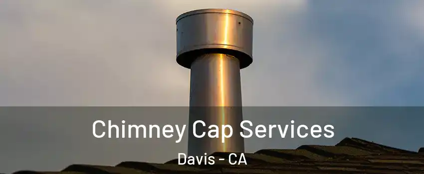  Chimney Cap Services Davis - CA