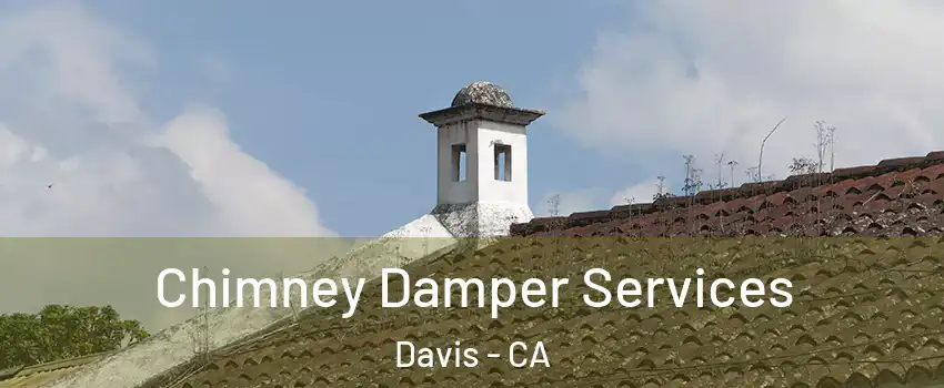  Chimney Damper Services Davis - CA