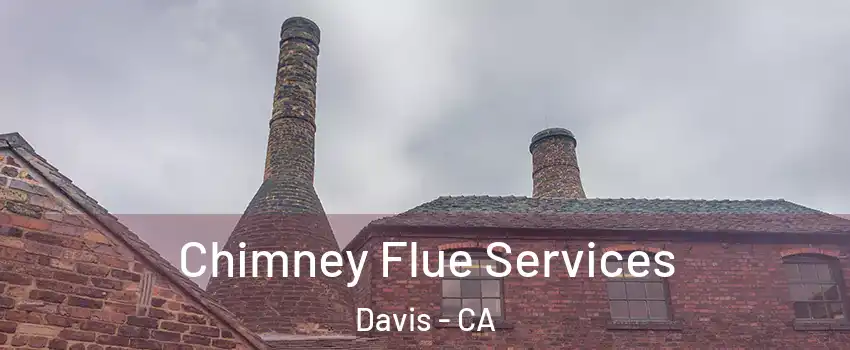  Chimney Flue Services Davis - CA