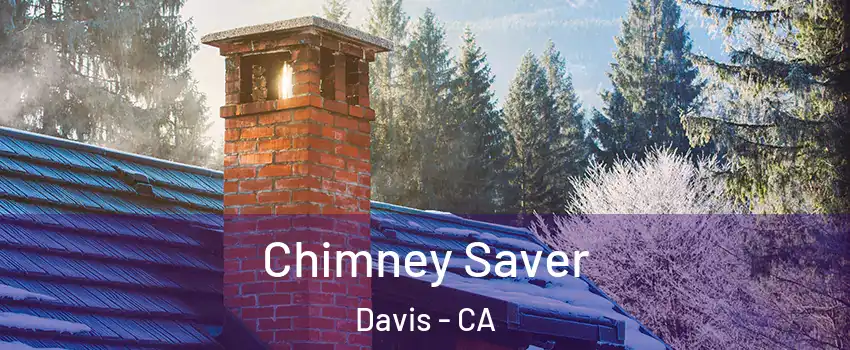  Chimney Saver Davis - CA