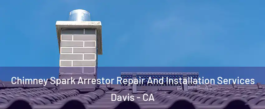  Chimney Spark Arrestor Repair And Installation Services Davis - CA
