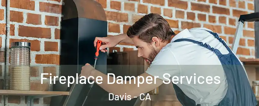  Fireplace Damper Services Davis - CA