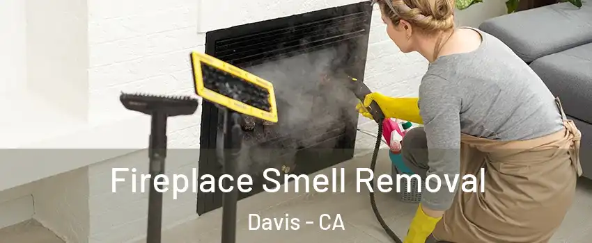  Fireplace Smell Removal Davis - CA