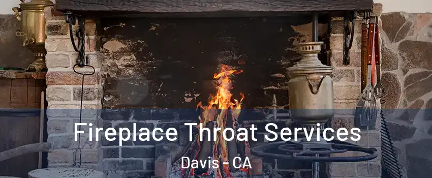  Fireplace Throat Services Davis - CA