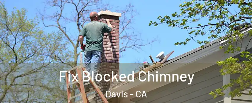  Fix Blocked Chimney Davis - CA
