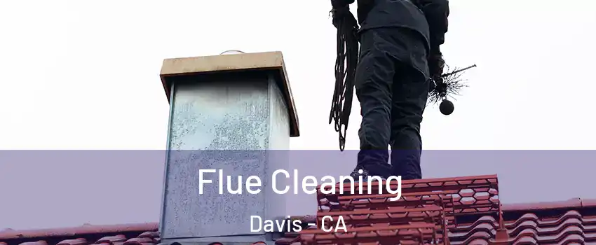  Flue Cleaning Davis - CA