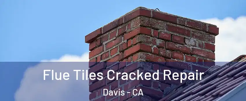  Flue Tiles Cracked Repair Davis - CA