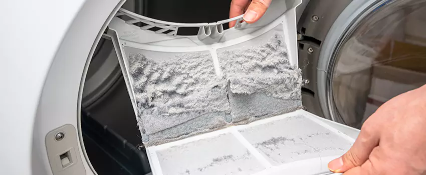 Best Dryer Lint Removal Company in Davis, California