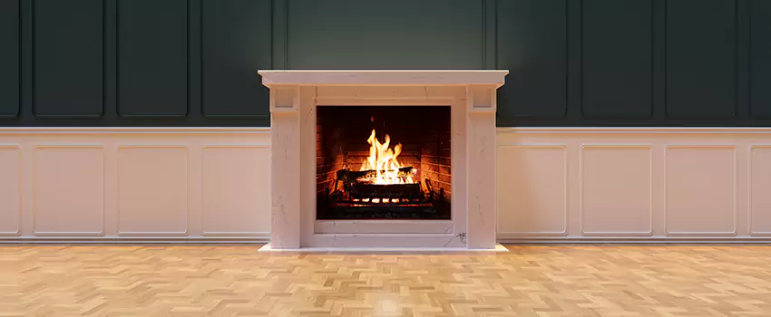 Napoleon Electric Fireplaces Inspection Service in Davis, California