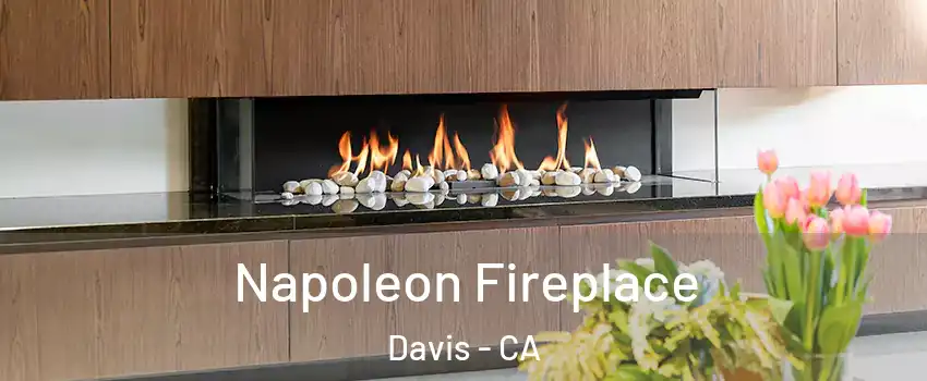  Napoleon Fireplace Davis - CA