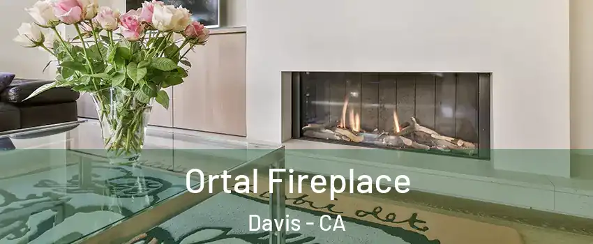 Ortal Fireplace Davis - CA